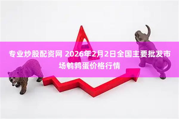 专业炒股配资网 2026年2月2日全国主要批发市场鹌鹑蛋价格行情