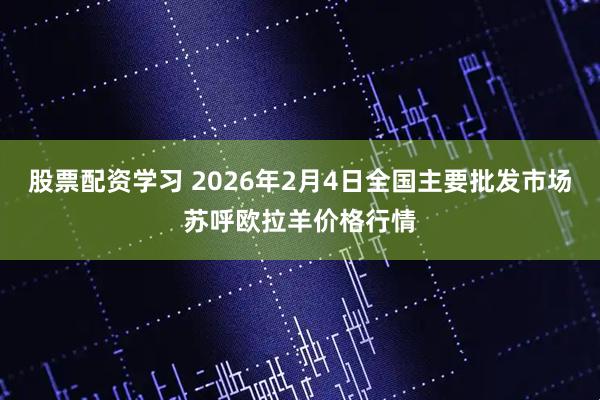 股票配资学习 2026年2月4日全国主要批发市场苏呼欧拉羊价格行情