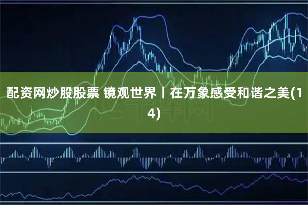 配资网炒股股票 镜观世界丨在万象感受和谐之美(14)